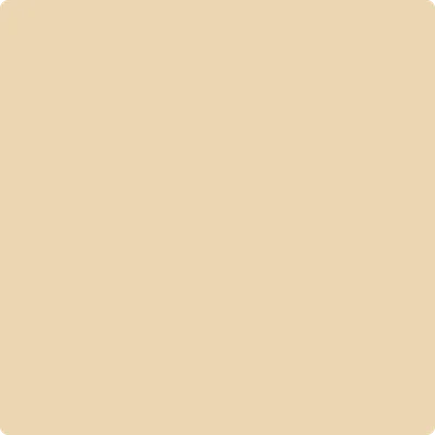 1100: Sundail   by Benjamin Moore