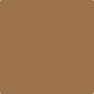 1119: Fort Sumner Tan by Benjamin Moore