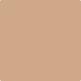 1153: Dearborn Tan  by Benjamin Moore