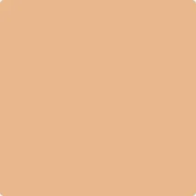 117: Persian Melon  by Benjamin Moore