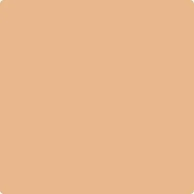 117: Persian Melon  by Benjamin Moore