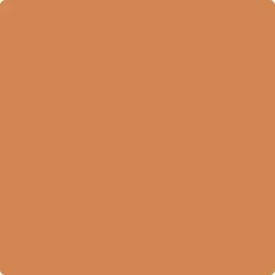 119: Cornucopia Tan  by Benjamin Moore