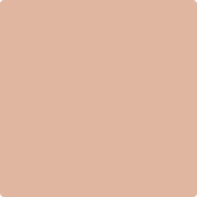 1215: Cinnamon Spice  by Benjamin Moore