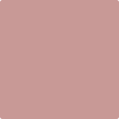 1256: Amaryllis   by Benjamin Moore