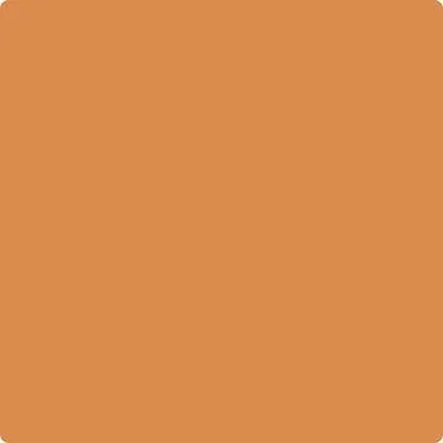 126: Pumpkin Spice  by Benjamin Moore