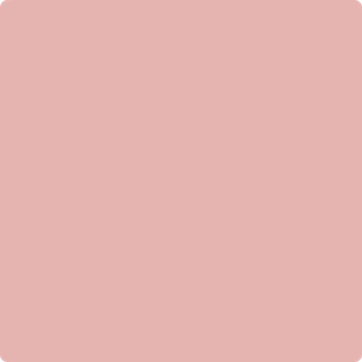 1291: Brighton Rock Candy by Benjamin Moore