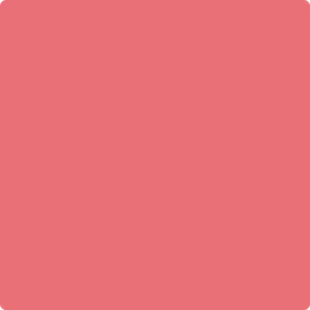 1320: Florida Pink  by Benjamin Moore