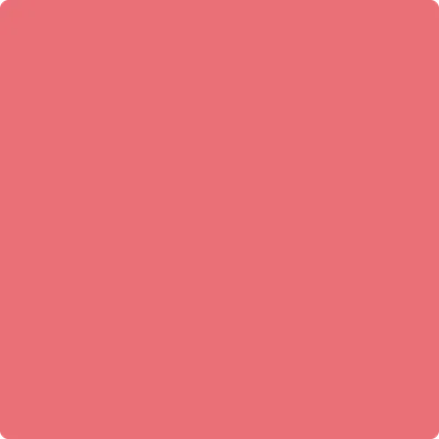 1320: Florida Pink  by Benjamin Moore