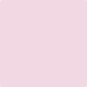 1367: Primrose Petals  by Benjamin Moore