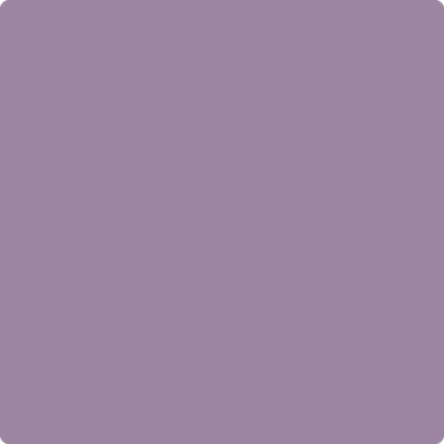 1384: Carolina Plum  by Benjamin Moore