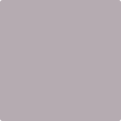 1446: Dusk to Dawn by Benjamin Moore