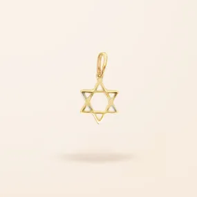 14K Gold Medium Star of David Charm