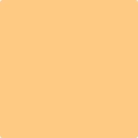 152: Florida Orange  by Benjamin Moore