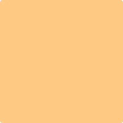 152: Florida Orange  by Benjamin Moore