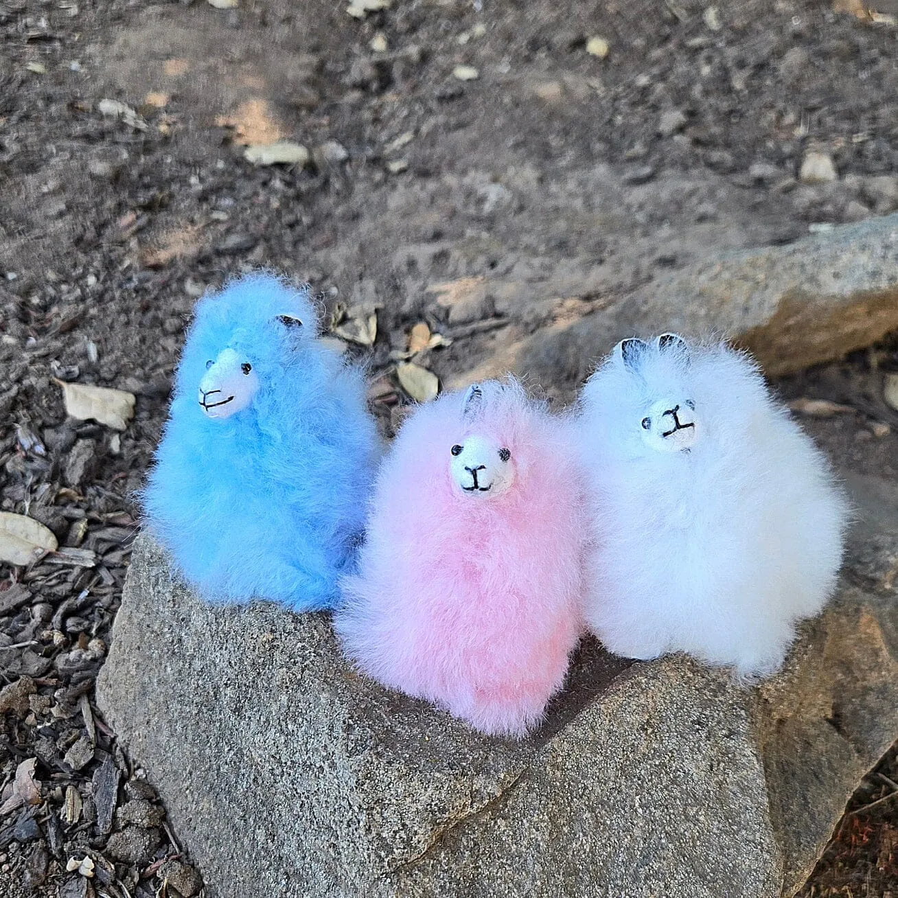 3" Mini-Paca