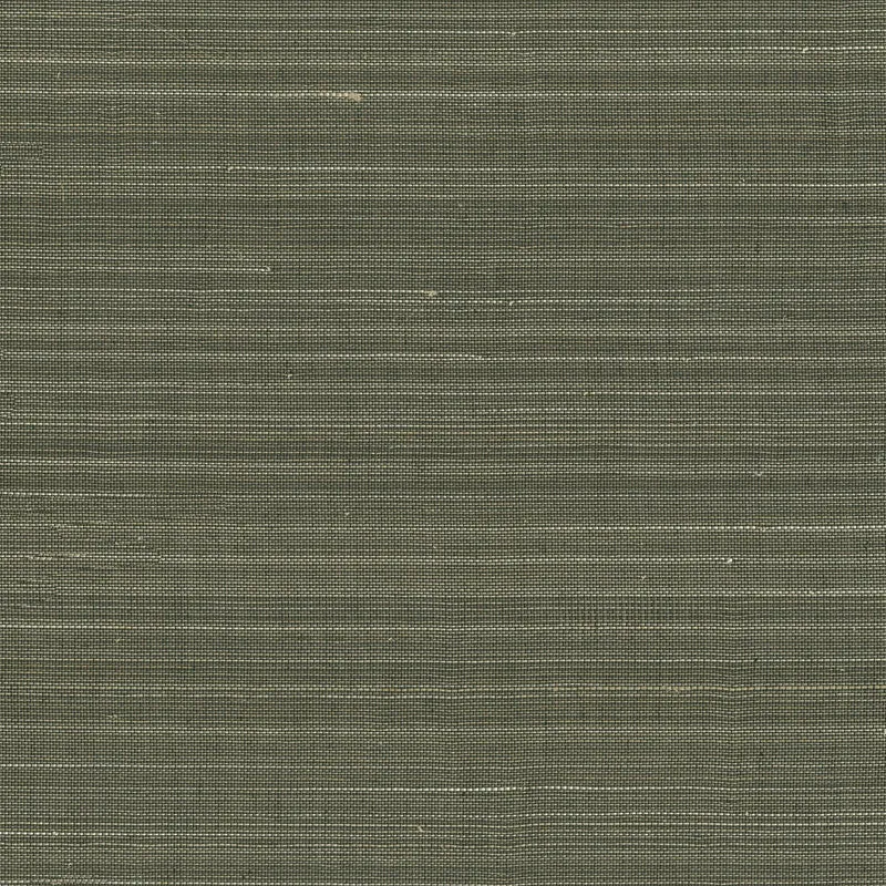 Abaca Fine & Filament Wallpaper in Black/Cream