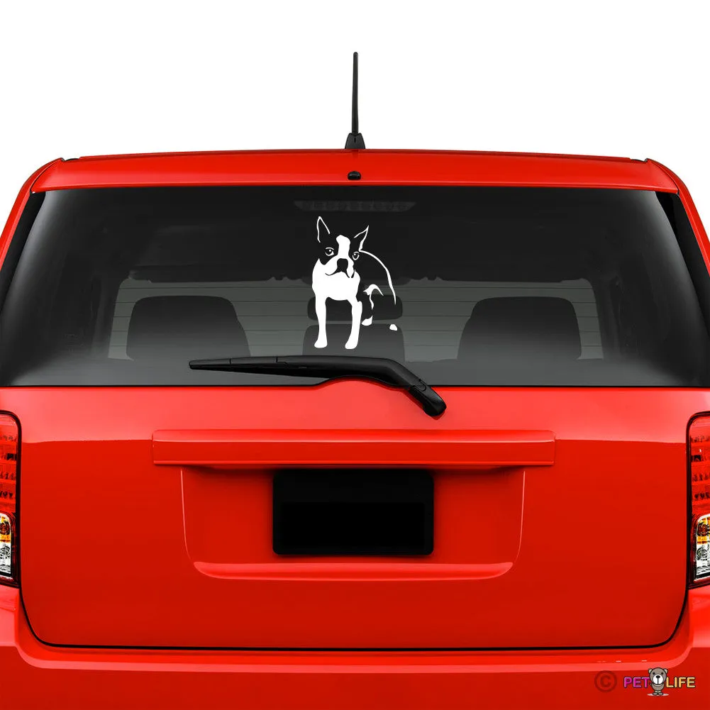 Boston Terrier Sticker