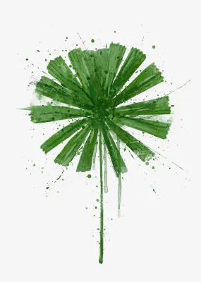 Botanical Wall Art Print ‘Fan Palm’ - Plant Prints, Botanical Art Prints and Botanical Illustrations