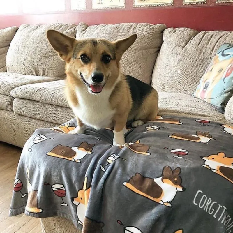 Cardigan Corgis & Wine Fleece Blanket | 3 Sizes