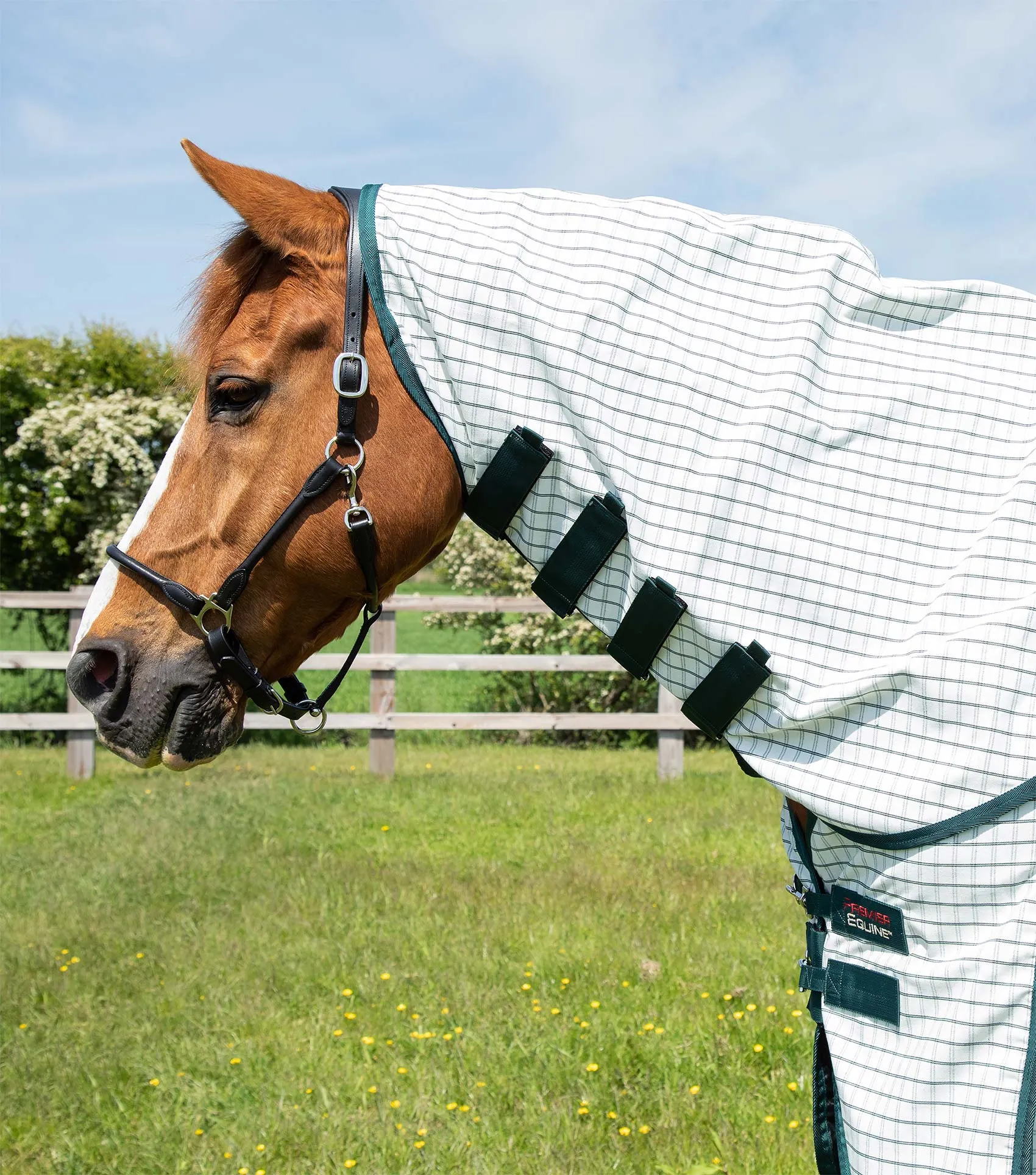 Combo Cotton Sheet Green Check