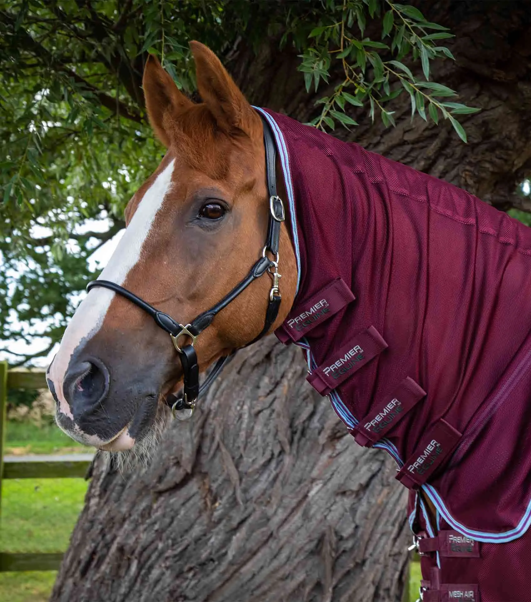 Combo Mesh Air Fly Rug with Surcingles Wine