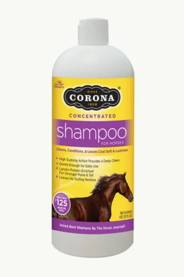 CORONA SHAMPOO CONCENTRATED SHAMPOO