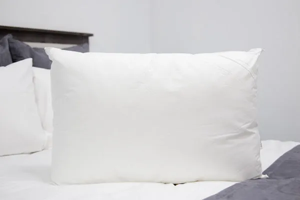 Final Sale: Pillowtex Allerban Polyester Pillow | Medium Support