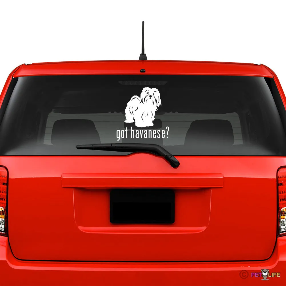 Got Havanese Sticker