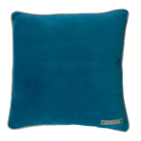 Velvet cushion in blue one side and green the reverse.